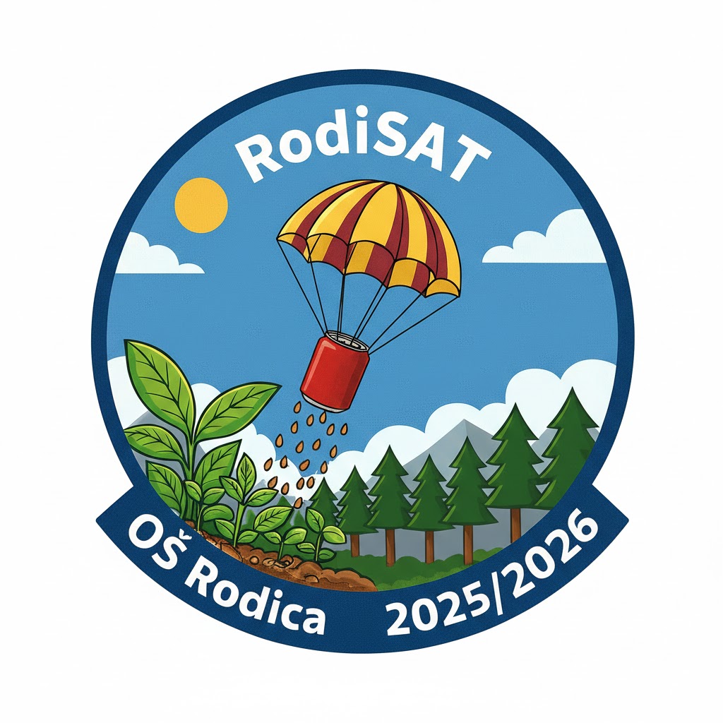 RodiSAT Logo